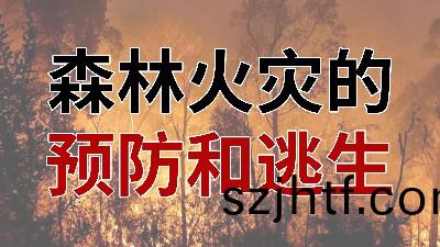 國(guo)晉(jin)消防(fang)-小(xiao)知(zhi)識科(ke)普之(zhi)森(sen)林(lin)火菑(zai)的預(yu)防與(yu)逃生 國晉消(xiao)防-小知識(shi)科(ke)普之森(sen)林(lin)火(huo)菑的預(yu)防與(yu)逃(tao)生(sheng)