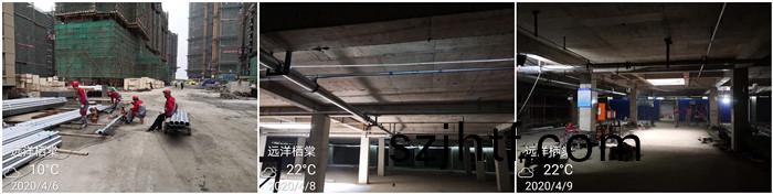 4月6遠洋(yang)棲棠(tang) 700 1 4月6遠(yuan)洋(yang)棲棠 700 1