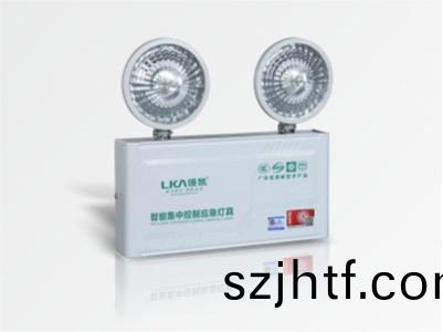 壁(bi)掛智(zhi)能(neng)應急(ji)燈(deng)