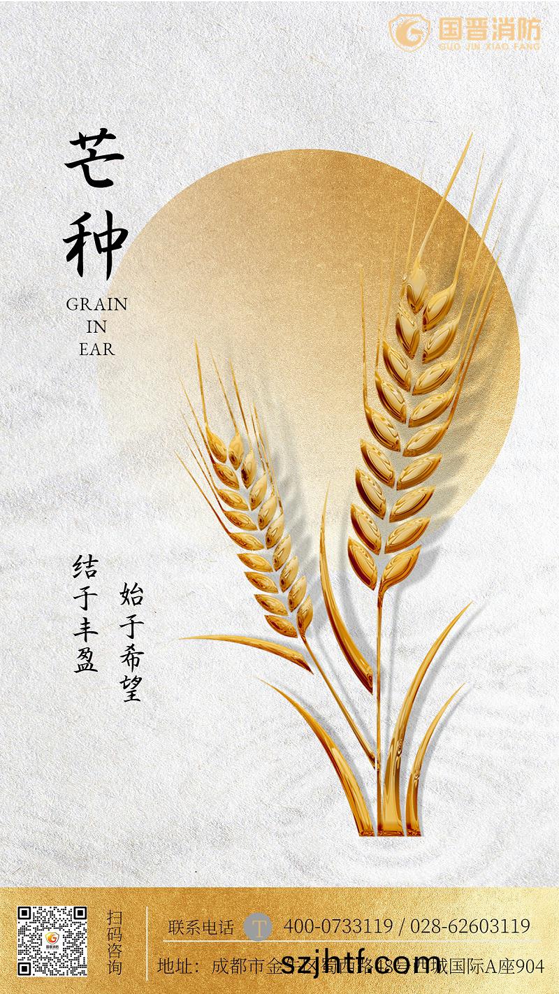 金螎保險(xian)芒種(zhong)節氣(qi)祝(zhu)福簡約海報 金(jin)螎保險芒種節氣祝(zhu)福簡約海報(bao)